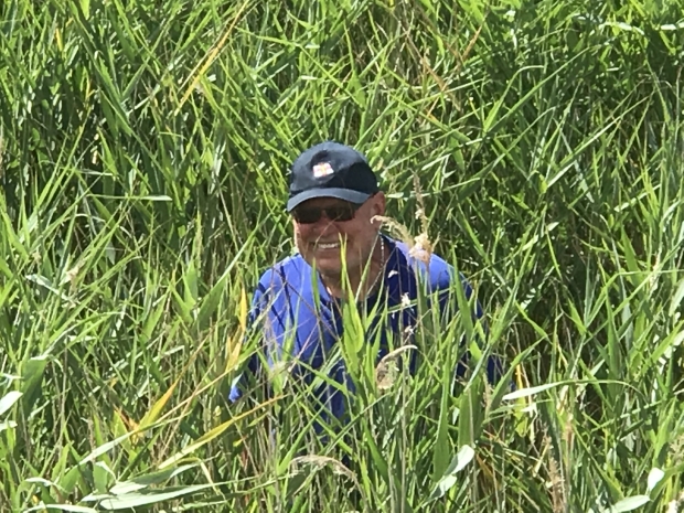 In The Long Grass